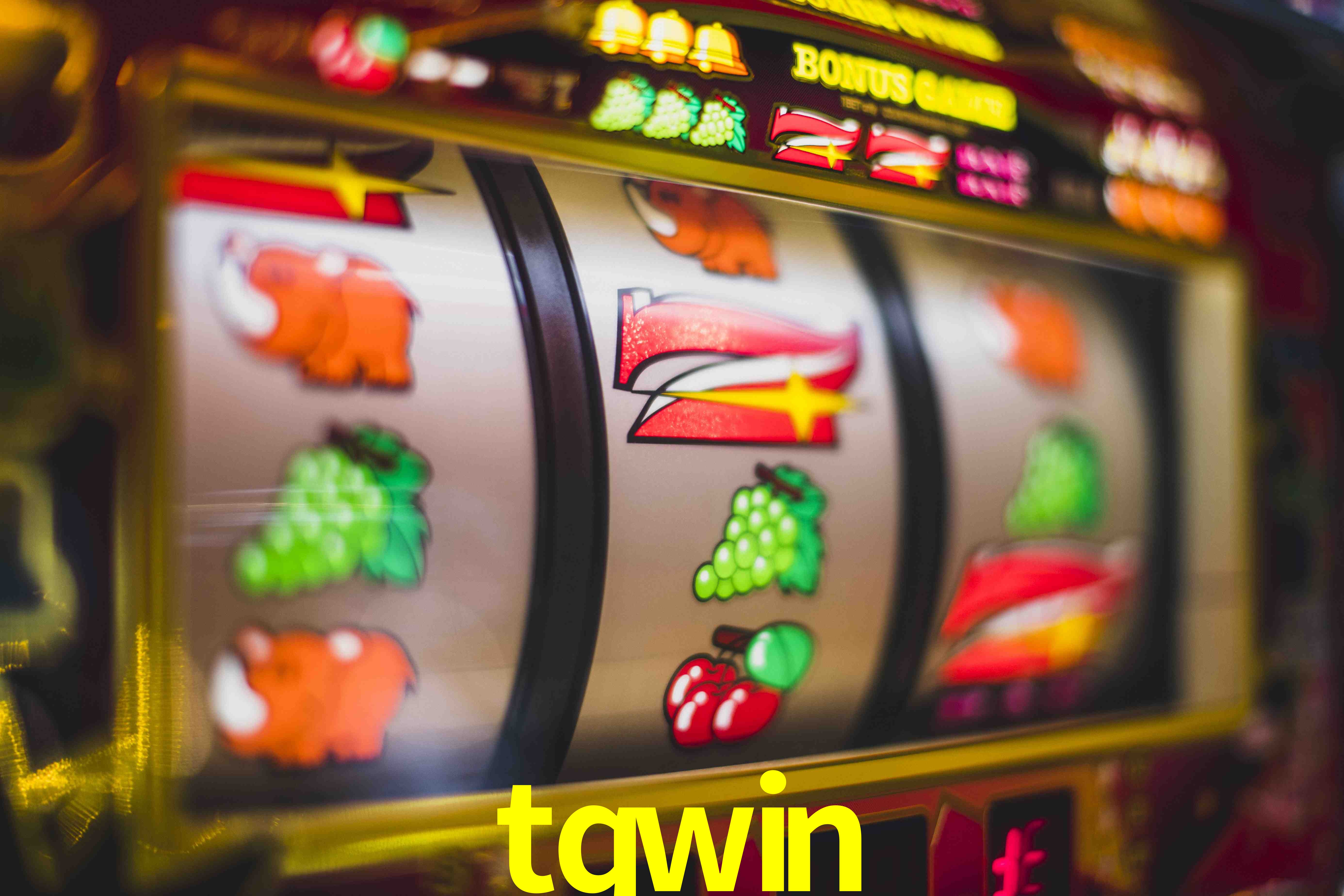 Roulette Table tqwin